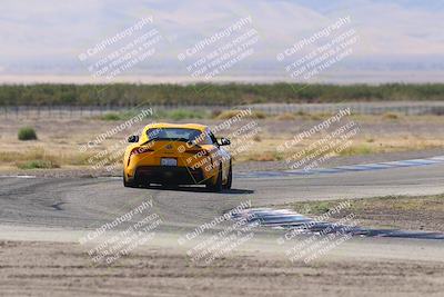 media/Oct-04-2025-OnGrid (Sat) [[44bd565ffa]]/Green Group/Grapevine/